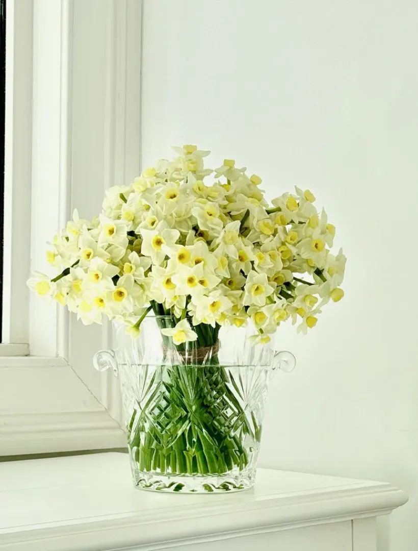 Glassware|Ice Buckets*Zjoosh Adrienne Ice Bucket