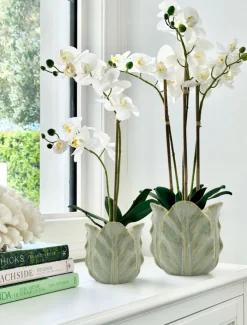 Vases & Pots|Ceramics*Zjoosh Cabbage Leaf Pot Light Green Large LightGreen