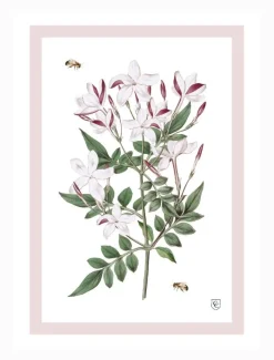 Towels*Zjoosh CC Botanical Tea Towel Jasmine