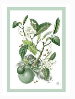 Towels*Zjoosh CC Botanical Tea Towel Limes