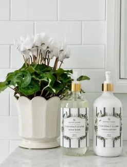 Hand Wash*Zjoosh CC Coconut Lime Lotion 525ML