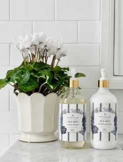 Hand Wash|Hand And Nail Creams*Zjoosh CC Sea Mist Hand Lotion 525ML