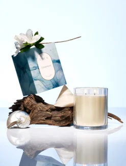 Circa|Scented Candles*Circa Home CIRCA Oceanique Candle 350G