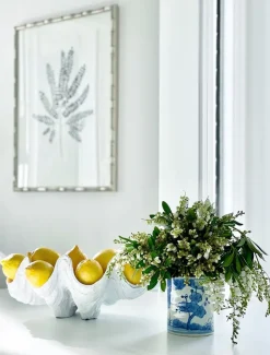 Home Ornaments*3rd Party Other Clam Shell Decor 52cm White