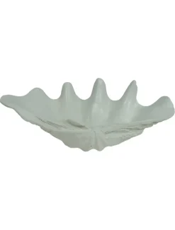 Home Ornaments*3rd Party Other Clam Shell Decor 52cm White