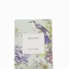 Car Diffusers|Zjoosh Clothing Care*Zjoosh Cut Flowers Car Freshener