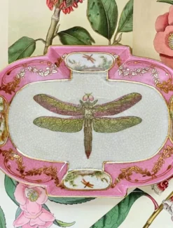 Ceramics*3rd Party Other Exotico Savon Dish Pink