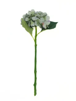 Flowers*Zjoosh Hydrangea Stem 50cm Blue Green BlueGreen