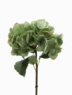 Flowers*Zjoosh Hydrangea Stem 52cm Blue Green BlueGreen