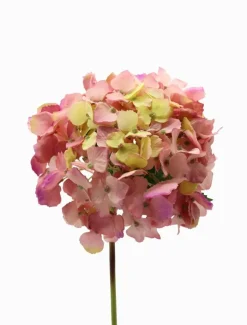 Flowers*Zjoosh Hydrangea Stem 52cm Dark Pink DarkPink