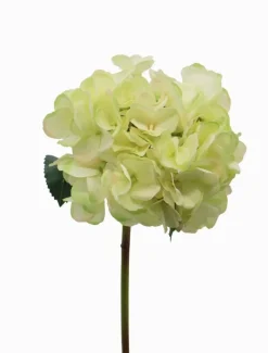 Flowers*Zjoosh Hydrangea Stem 52cm Light Green LightGreen