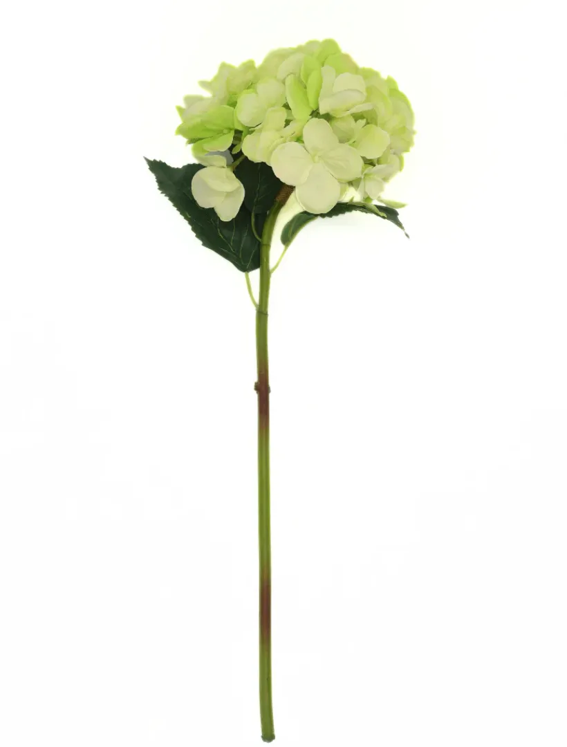 Flowers*Zjoosh Hydrangea Stem 52cm Light Green LightGreen