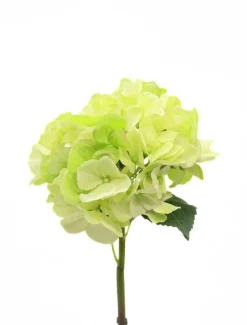 Flowers*Zjoosh Hydrangea Stem 52cm Light Green LightGreen