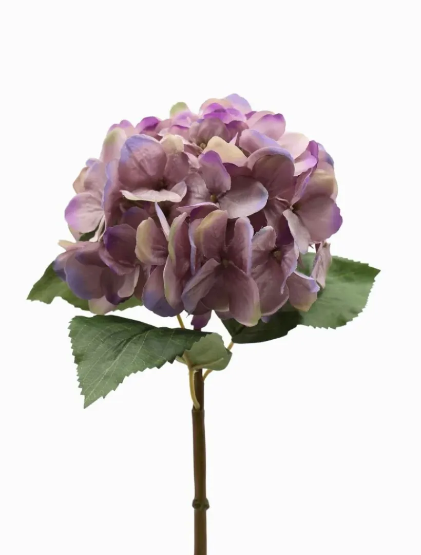 Flowers*Zjoosh Hydrangea Stem 52cm Pink