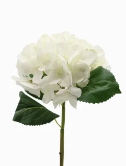 Flowers*Zjoosh Hydrangea Stem 52cm White
