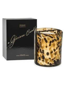 Apsley|Scented Candles*Apsley Luxury Candle Vesuvius 2.1kg