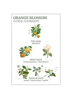 Hand And Nail Creams*3rd Party Other Orange Blossom Hand Cream 75ml