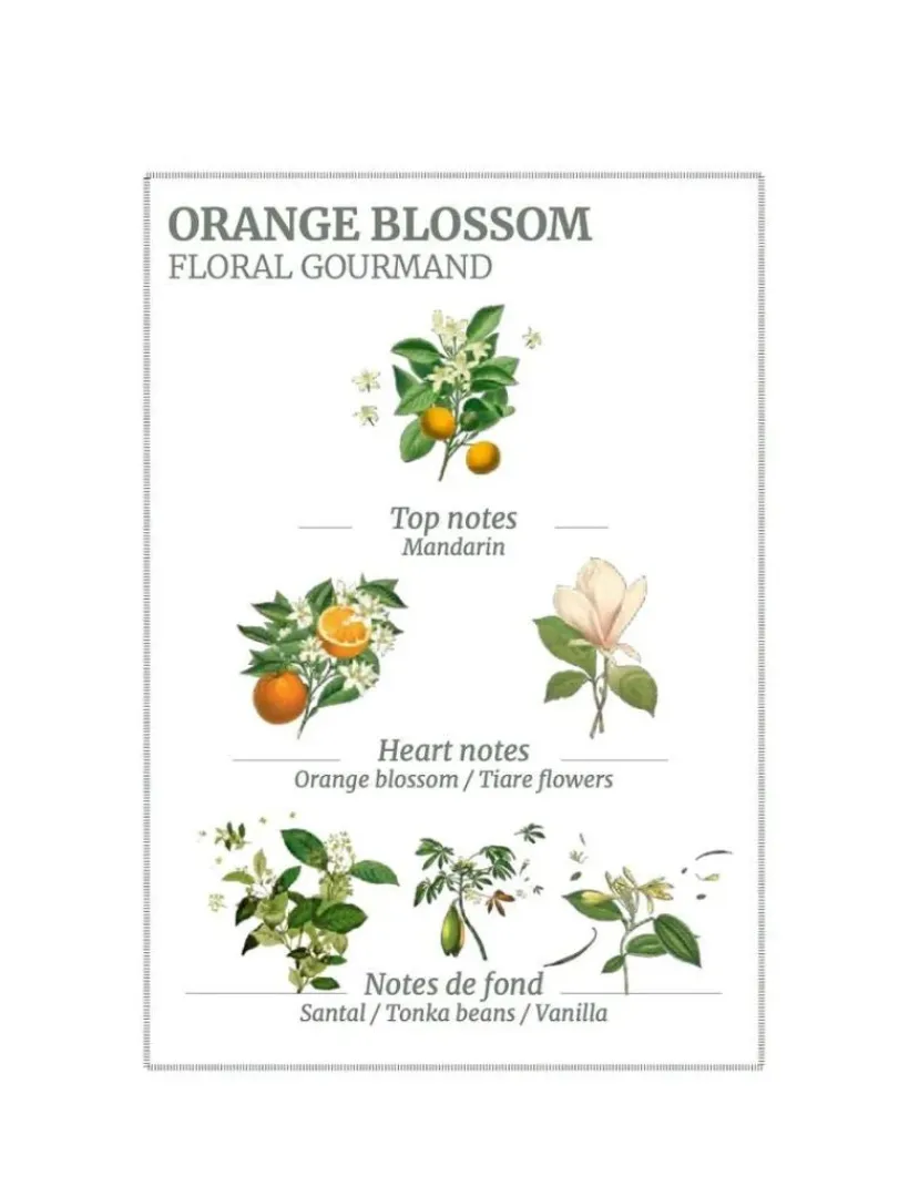 Hand And Nail Creams*3rd Party Other Orange Blossom Hand Cream 75ml