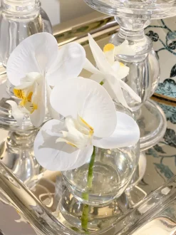 Flowers*3rd Party Other Orchid Phalaenopsis in Vase 11cmh White