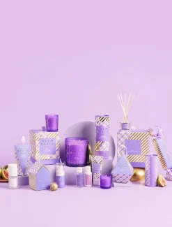 Palm Beach*Palm Beach Gingerbread House Travel Duo Fig Tree - FINAL SALE
