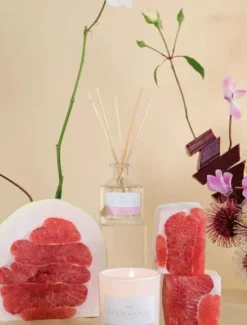 Palm Beach|Diffusers*Palm Beach Pomelo and Dewberry Mini Diffuser 50ML
