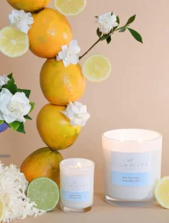 Palm Beach|Scented Candles*Palm Beach Yuzu and Sea Moss Candle 420G