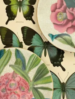 Ceramics*3rd Party Other Paradiso Wall Plate Camellia Bone