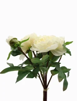 Flowers*Zjoosh Peony Bouquet 32cm Ivory