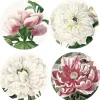 Coasters & Placemats*Zjoosh Peony Placemats (Set of 4)