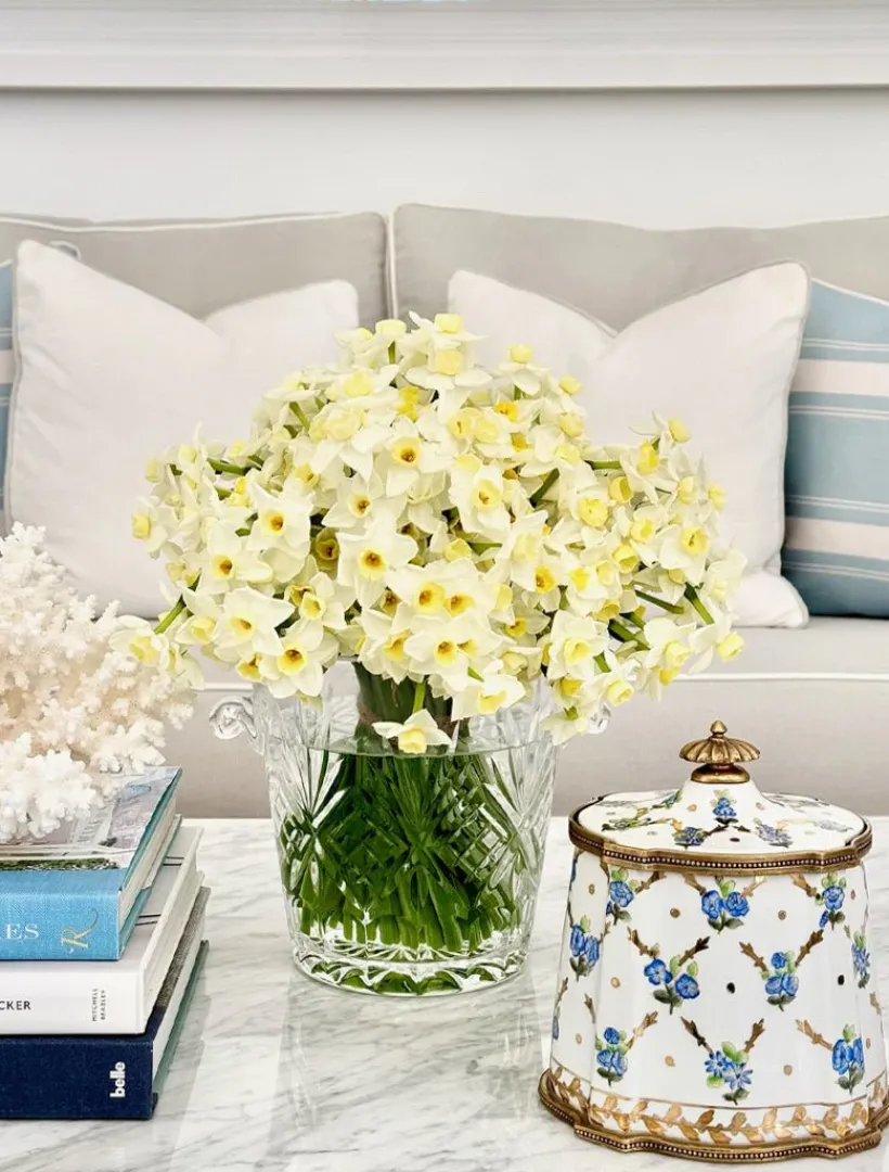 Home Ornaments|Ceramics*Zjoosh Petworth Box