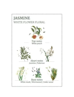Body Lotions*3rd Party Other Precious Jasmine Body Lotion 250ml - FINAL SALE