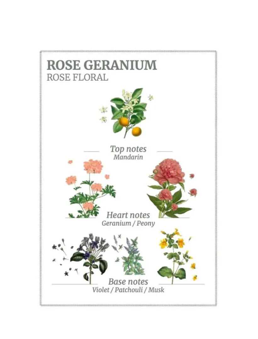 Hand Wash*3rd Party Other Rose Geranium Hand u0026 Body Wash 500ml