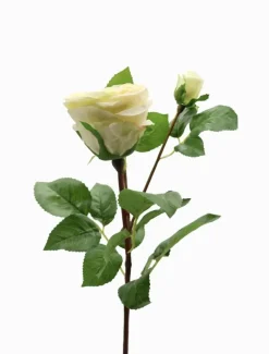 Flowers*Zjoosh Rose Stem 58cm Ivory