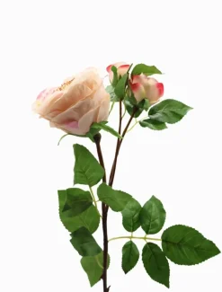 Flowers*Zjoosh Rose Stem 58cm Pink