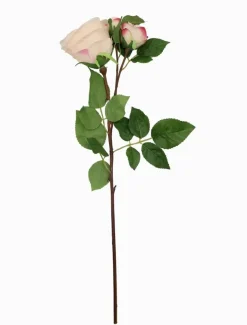 Flowers*Zjoosh Rose Stem 58cm Pink