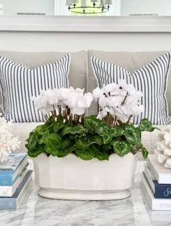 Vases & Pots|Ceramics*Zjoosh Scallop Planter White