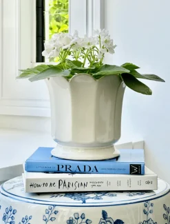 Vases & Pots|Ceramics*Zjoosh Scalloped Pot Large White