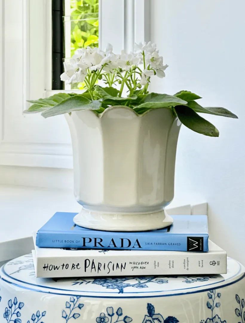 Vases & Pots|Ceramics*Zjoosh Scalloped Pot Large White