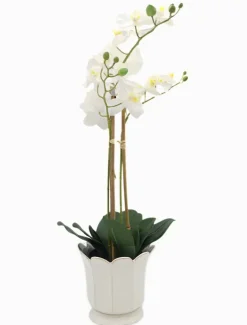 Vases & Pots|Ceramics*Zjoosh Scalloped Pot Large White