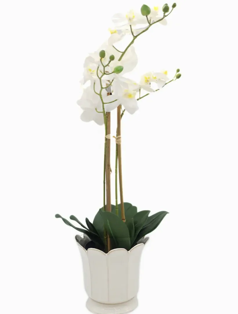 Vases & Pots|Ceramics*Zjoosh Scalloped Pot Large White