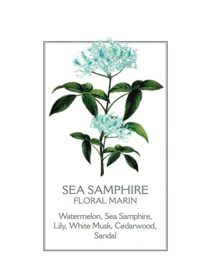 Body Lotions*3rd Party Other Sea Samphire Body Lotion 250ml - FINAL SALE