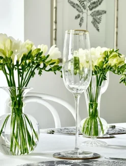 Glassware*Zjoosh Soiree Crystal Champagne Flutes (Set of 2) Clear