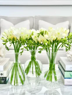 Glassware|Home Ornaments*Zjoosh Soiree Trio of Vases Clear
