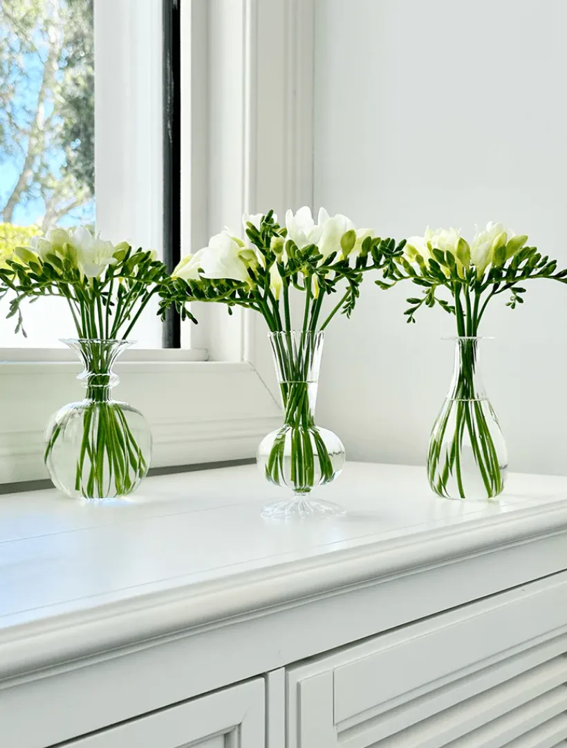 Glassware|Home Ornaments*Zjoosh Soiree Trio of Vases Clear