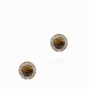 Earrings*Zjoosh Tigers Eye and Crystal Studs