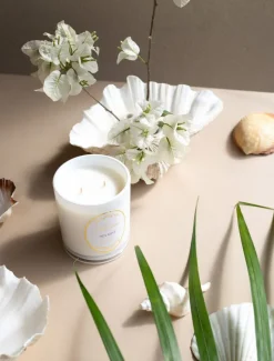 Scented Candles|Zjoosh Candle Collection*Zjoosh Candle Adeline Sea Mist