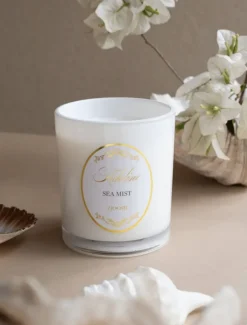 Scented Candles|Zjoosh Candle Collection*Zjoosh Candle Adeline Sea Mist