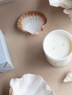 Scented Candles|Zjoosh Candle Collection*Zjoosh Candle Adeline Sea Mist