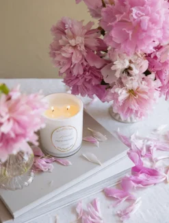 Scented Candles|Zjoosh Candle Collection*Zjoosh Candle Amelie Fresh Peonies