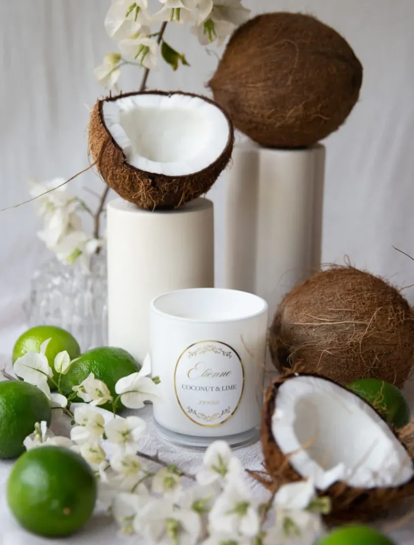 Scented Candles|Zjoosh Candle Collection*Zjoosh Candle Etienne Coconut u0026 Lime